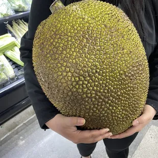 Jackfruit