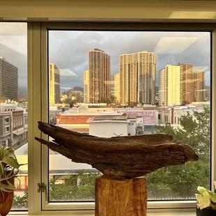 View of Honolulu from store window