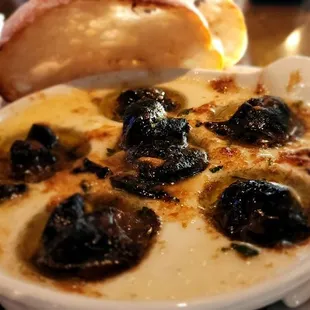 Wonderful Escargot!