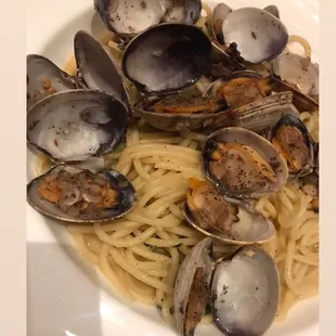 a plate of pasta with clams