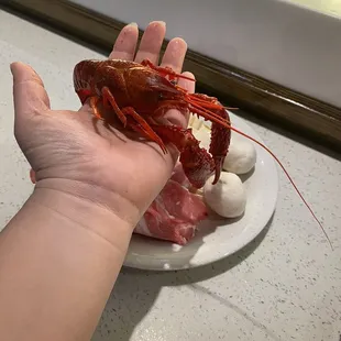 Crawfish