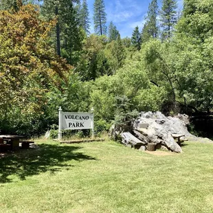Most of the Park