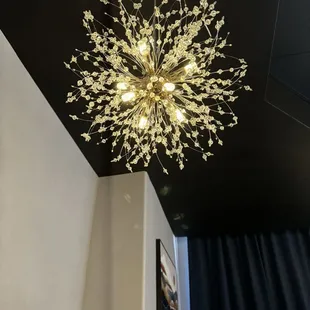 Interior light fixtures.