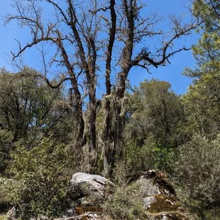 Surrounding area