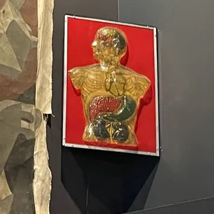 How's that liver, visible man?