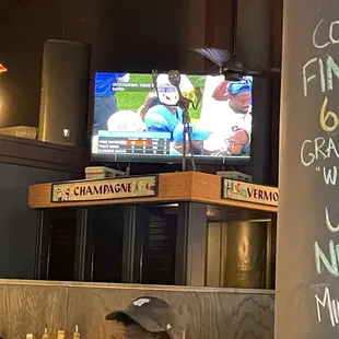 I know Chris isn't the biggest sports fan but that statue in front of the tv is really too much. How bout that attentive bartender, though?