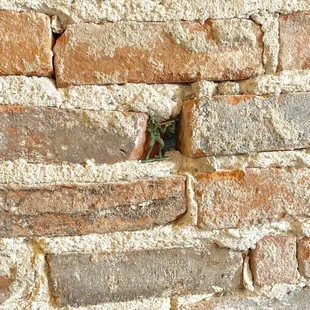 Left my mark at the Volstead Bar.