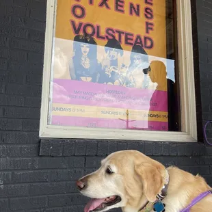 Dog friendly - Vixens of Volstead Brunch