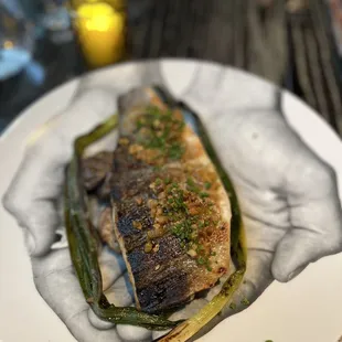 Branzino