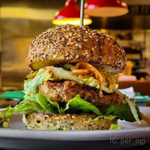 burger, burgers, food