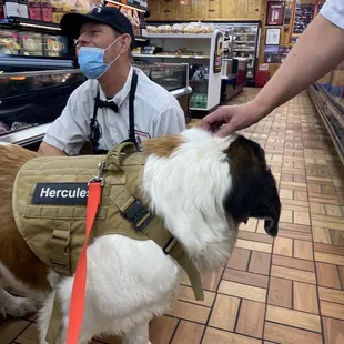 Hercules is placing his order w his new BFF.