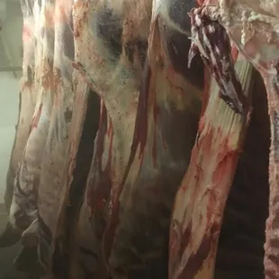 meat hanging from a rack