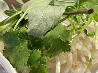 Noodle House