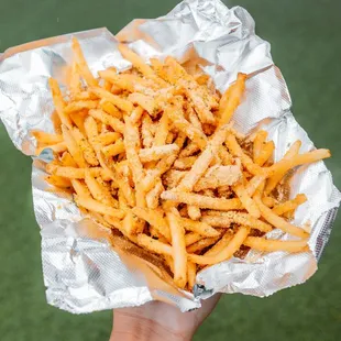 Snow Fries