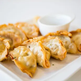 Korean Mandoo (Potsticker)
