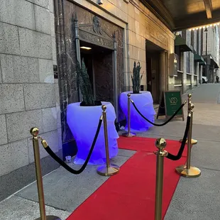 a red carpet and a red carpet