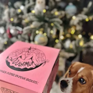 a dog looking at a box