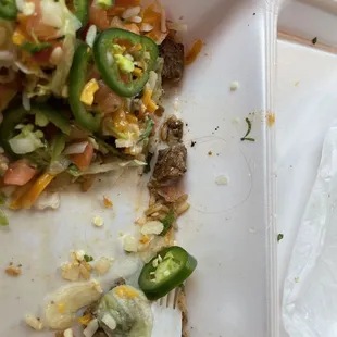 Hair in the Carne Asada Rice Bowl