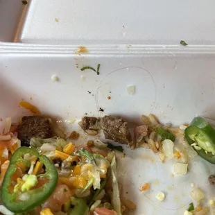 Hair in the Carne Asada Rice Bowl