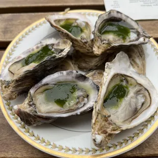 Oysters  Amazing guest chef!