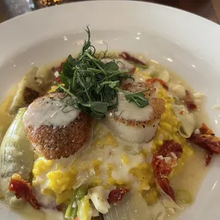 Scallops
