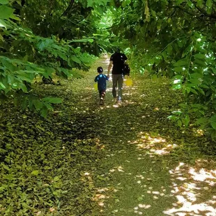 Cherries down ... Every aisle