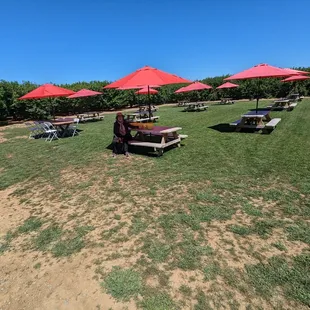 Some farms don't have tables.... This place is stacked and not very many here. Im not sure I want to even post.how epic it is here.