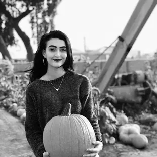 $7 pumpkin