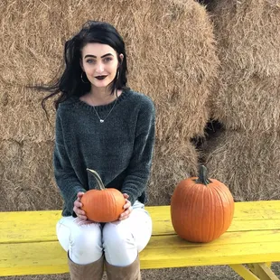 Both pumpkins $10 all together