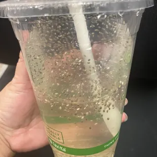 Voy Special: PussyWillow (Arak Beedmeshk) Refreshing!