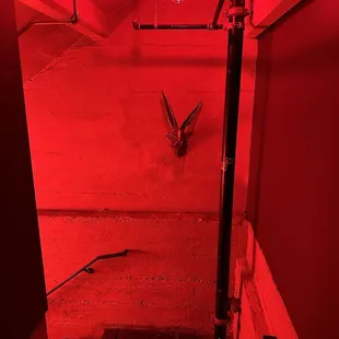 Interior first staircase - IG @bougiefoodieboi