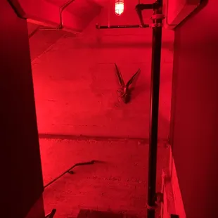 Stairs down to Voysey