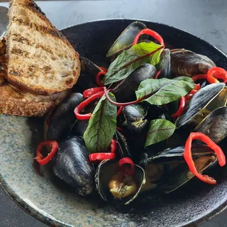 Green Curry Mussels*