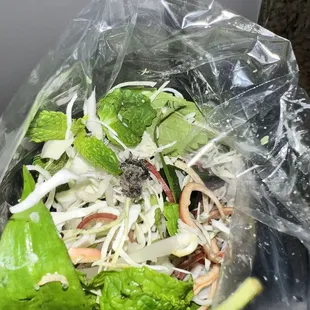 Caterpillar in veggie bag