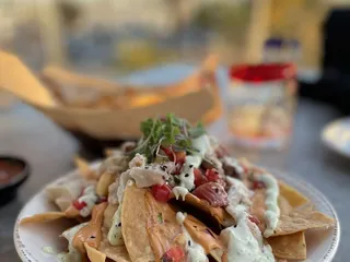 Palapa