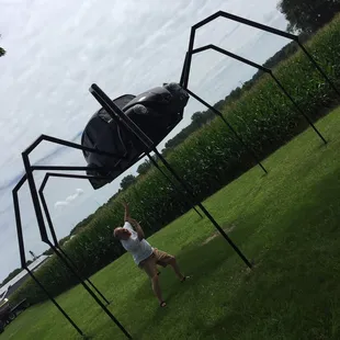 Robert's greatest fear - giant spiders!!! (The VW not so much...)