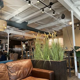 a man sitting in a coffee shop