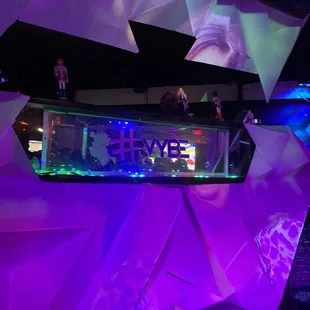 a fish tank with a neon sign above it