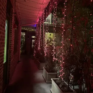 Patio walkway towards the bathroom