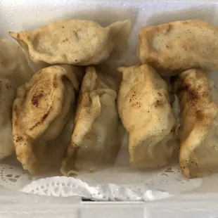Pork Dumplings
