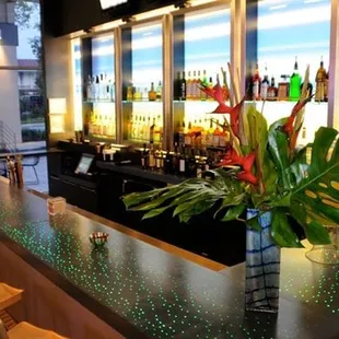 a bar with a plant on the counter