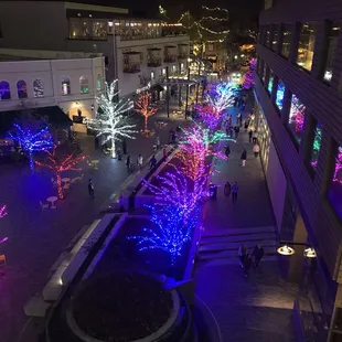 Patio view