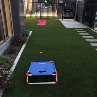 Corn hole