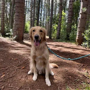 The recreation/beginning area of the hike ft. Cheddar