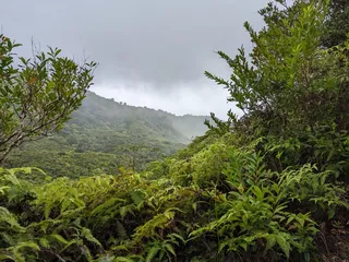 Judd Trail
