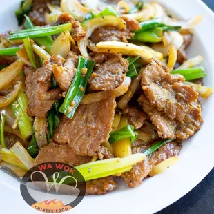 Mongolian Beef