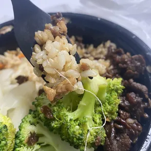 Waba Bowl