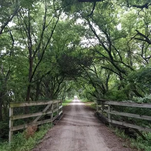 Small bridge on the trail