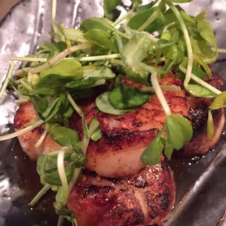 Seared Hotate
