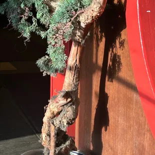 The Dirty waiting area